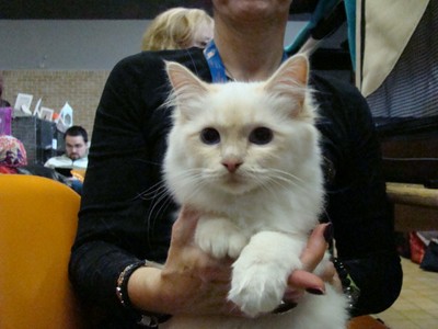20121021_81 (Expo)